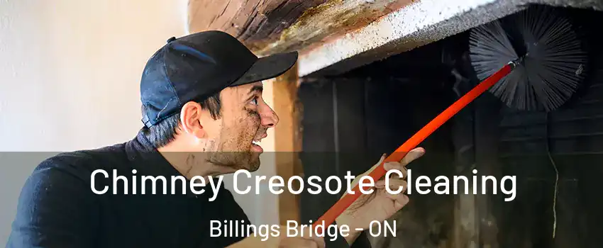  Chimney Creosote Cleaning Billings Bridge - ON