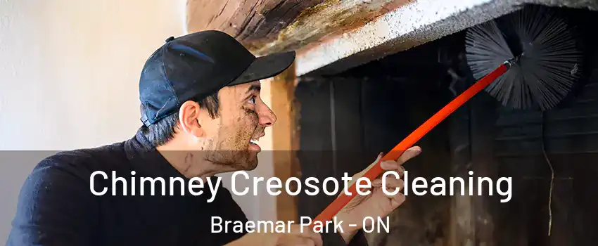  Chimney Creosote Cleaning Braemar Park - ON