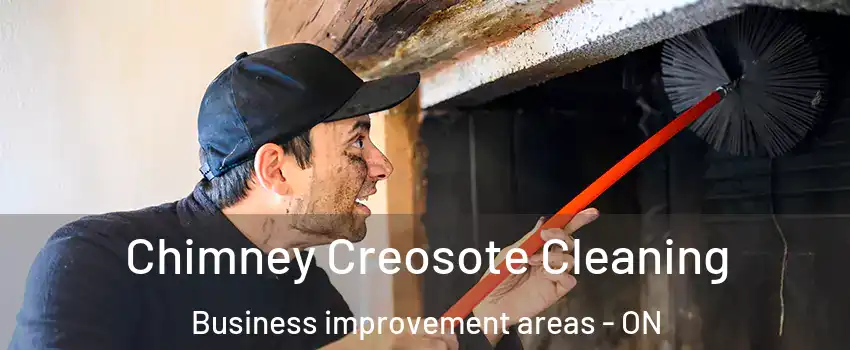  Chimney Creosote Cleaning Business improvement areas - ON