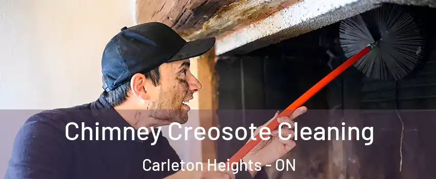  Chimney Creosote Cleaning Carleton Heights - ON