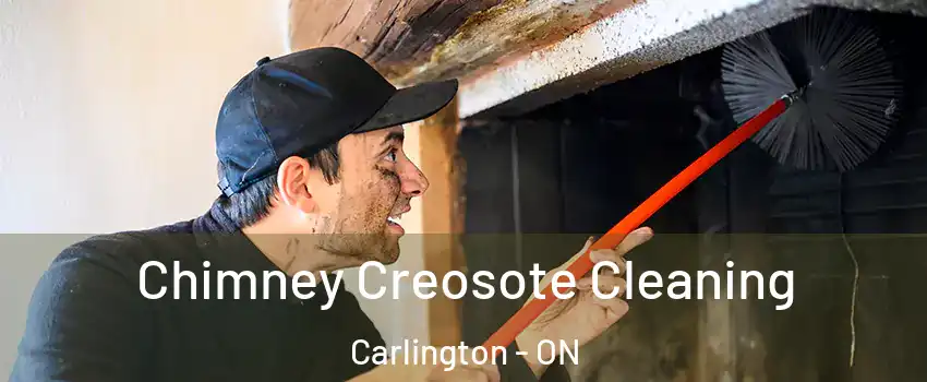  Chimney Creosote Cleaning Carlington - ON