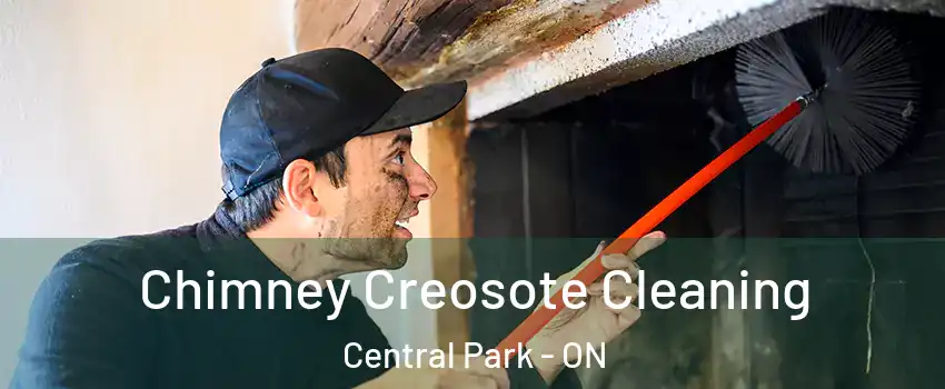  Chimney Creosote Cleaning Central Park - ON