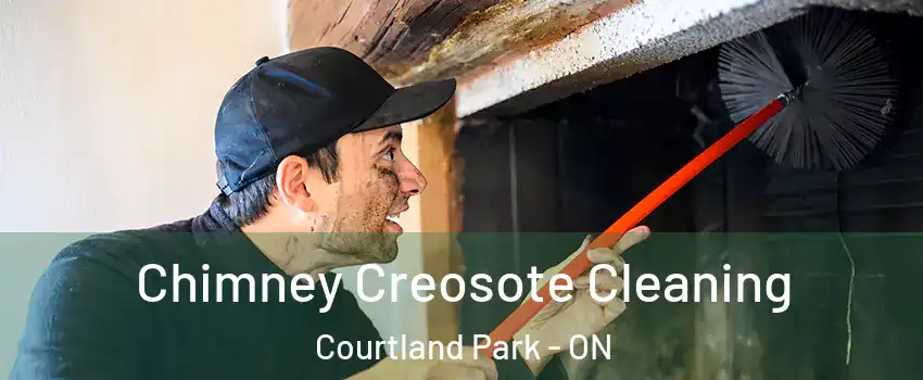  Chimney Creosote Cleaning Courtland Park - ON