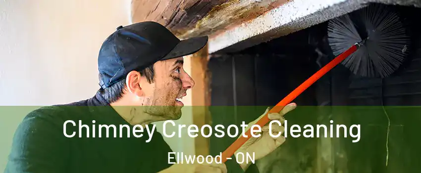  Chimney Creosote Cleaning Ellwood - ON