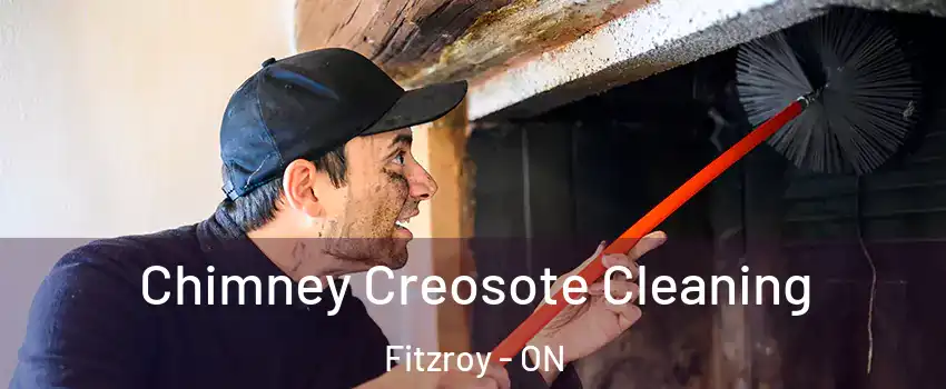  Chimney Creosote Cleaning Fitzroy - ON