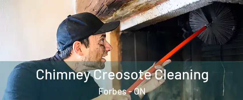  Chimney Creosote Cleaning Forbes - ON