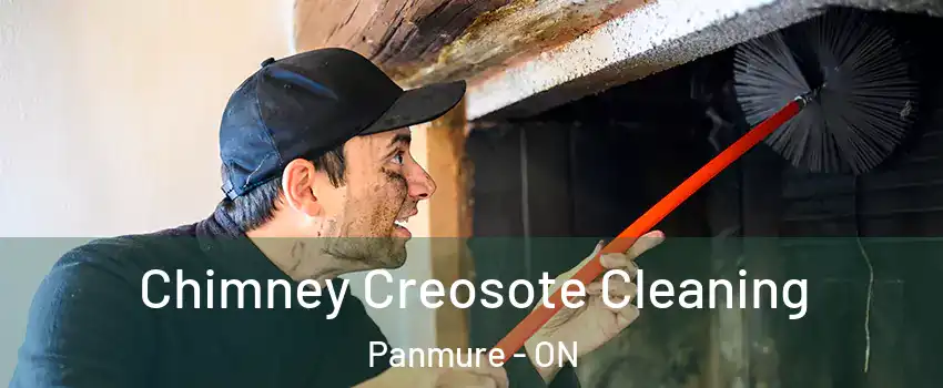  Chimney Creosote Cleaning Panmure - ON