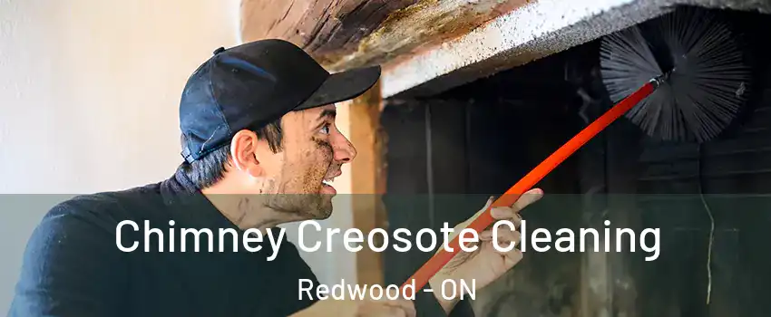  Chimney Creosote Cleaning Redwood - ON