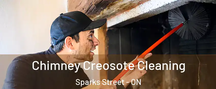  Chimney Creosote Cleaning Sparks Street - ON