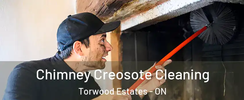  Chimney Creosote Cleaning Torwood Estates - ON