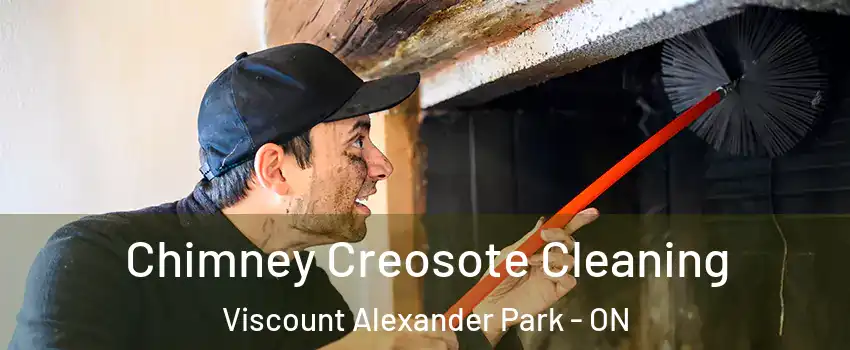  Chimney Creosote Cleaning Viscount Alexander Park - ON