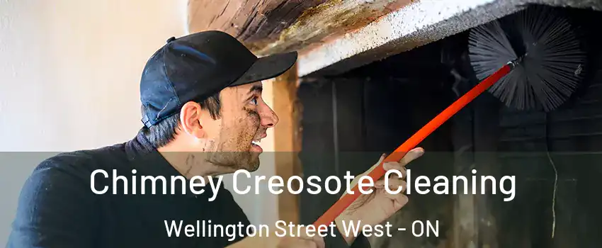  Chimney Creosote Cleaning Wellington Street West - ON