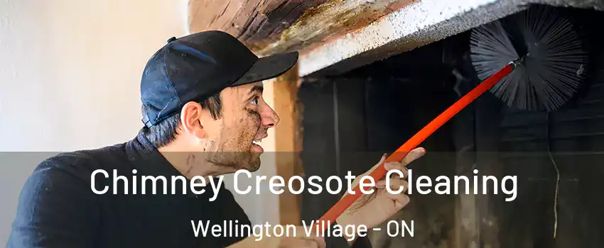  Chimney Creosote Cleaning Wellington Village - ON