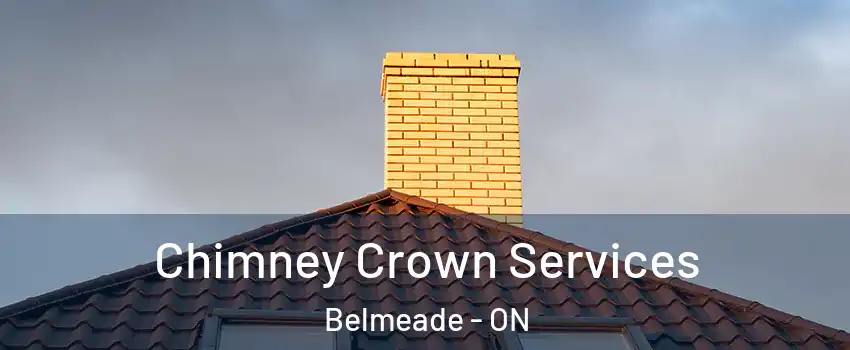  Chimney Crown Services Belmeade - ON