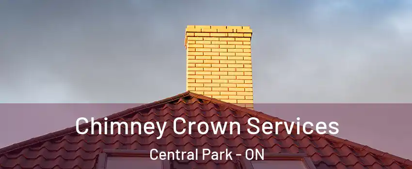  Chimney Crown Services Central Park - ON