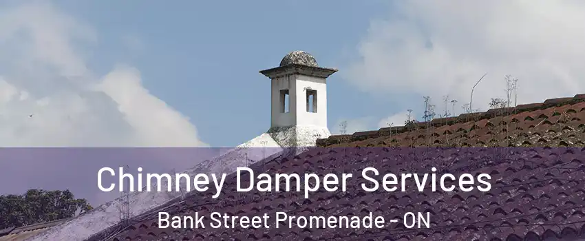  Chimney Damper Services Bank Street Promenade - ON