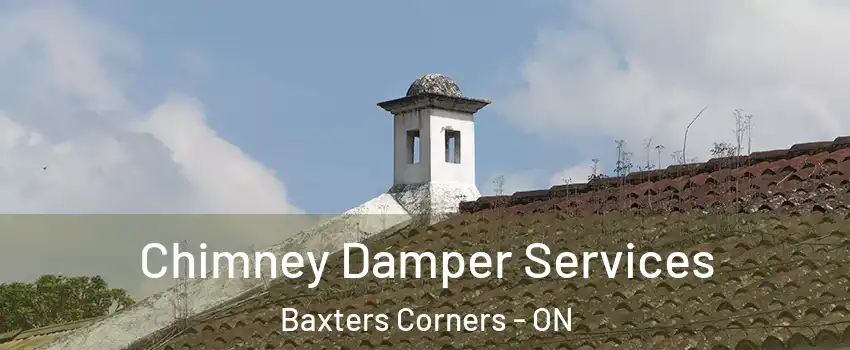  Chimney Damper Services Baxters Corners - ON