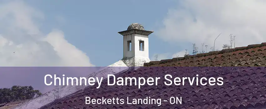  Chimney Damper Services Becketts Landing - ON