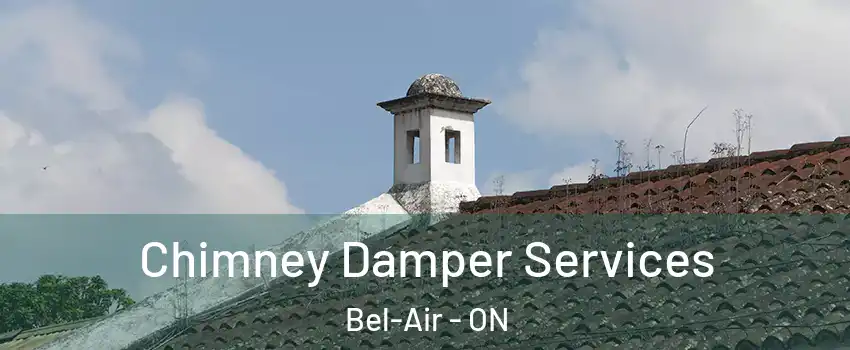  Chimney Damper Services Bel-Air - ON