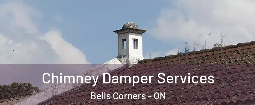  Chimney Damper Services Bells Corners - ON