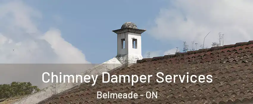  Chimney Damper Services Belmeade - ON