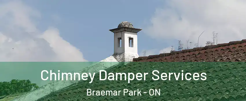  Chimney Damper Services Braemar Park - ON