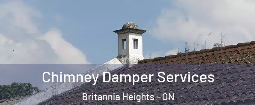  Chimney Damper Services Britannia Heights - ON