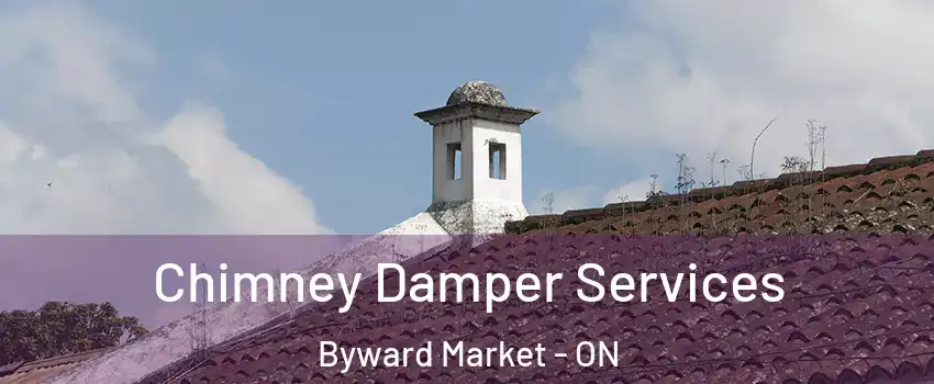  Chimney Damper Services Byward Market - ON