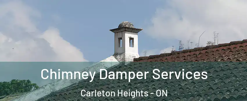  Chimney Damper Services Carleton Heights - ON