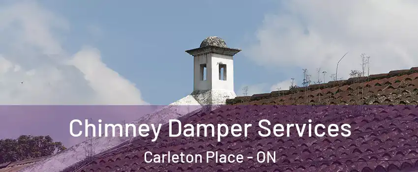  Chimney Damper Services Carleton Place - ON