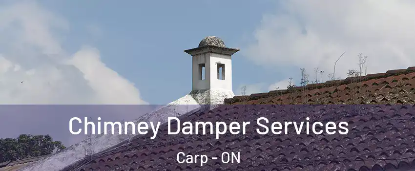  Chimney Damper Services Carp - ON