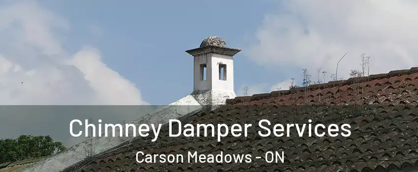  Chimney Damper Services Carson Meadows - ON