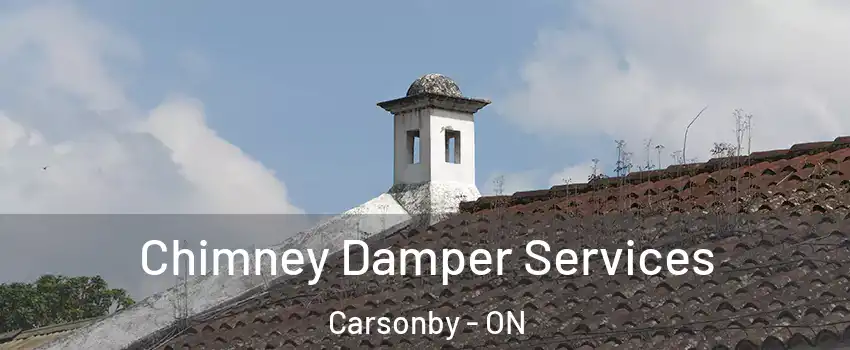  Chimney Damper Services Carsonby - ON