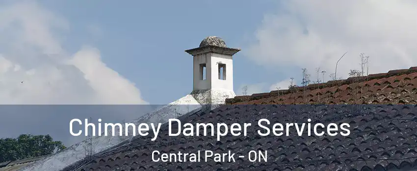  Chimney Damper Services Central Park - ON