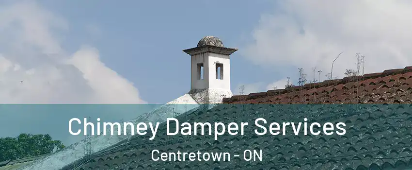  Chimney Damper Services Centretown - ON