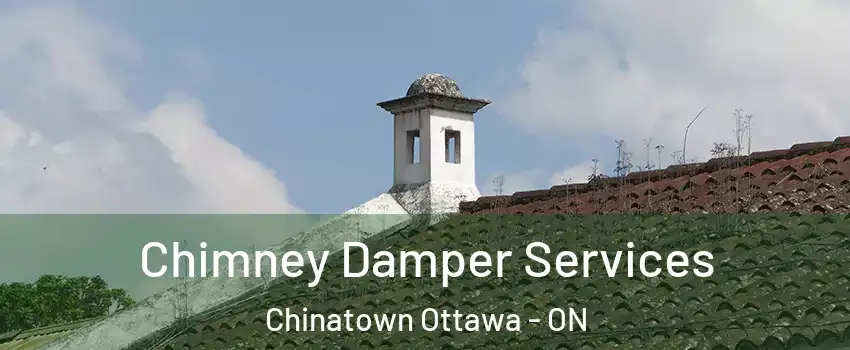  Chimney Damper Services Chinatown Ottawa - ON