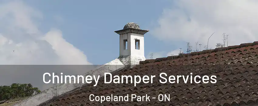  Chimney Damper Services Copeland Park - ON