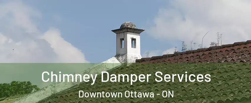  Chimney Damper Services Downtown Ottawa - ON