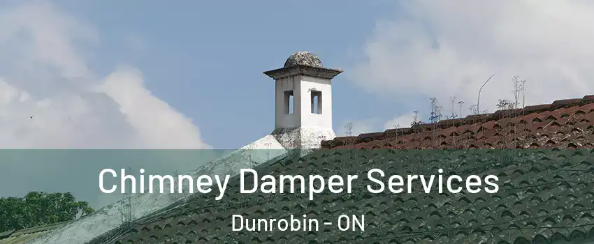  Chimney Damper Services Dunrobin - ON