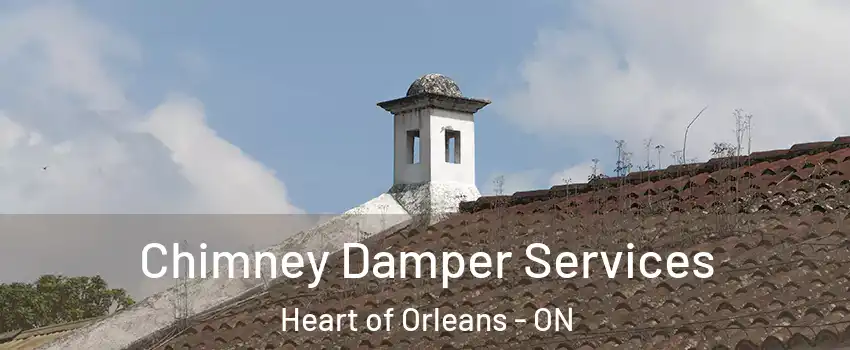  Chimney Damper Services Heart of Orleans - ON