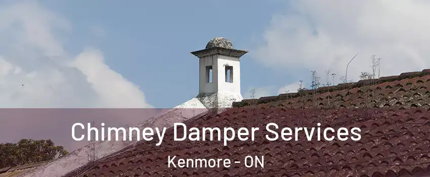  Chimney Damper Services Kenmore - ON