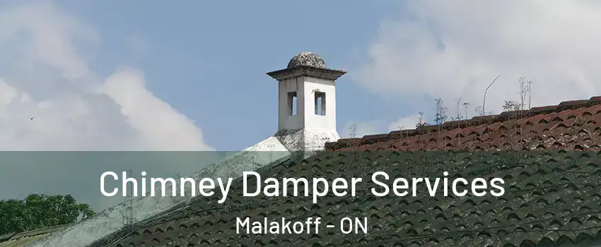  Chimney Damper Services Malakoff - ON