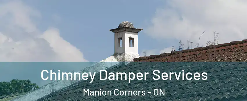  Chimney Damper Services Manion Corners - ON