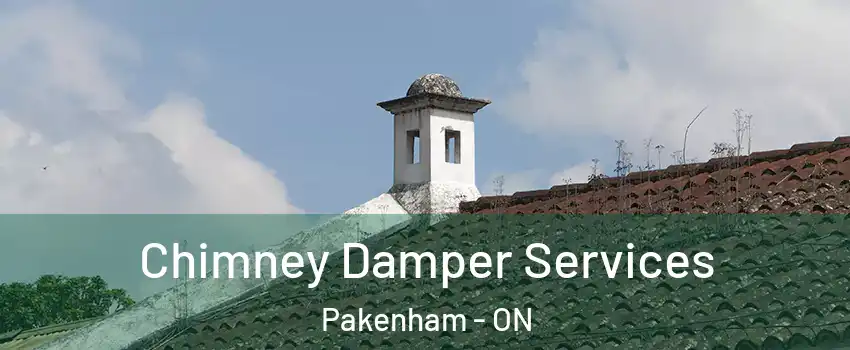  Chimney Damper Services Pakenham - ON