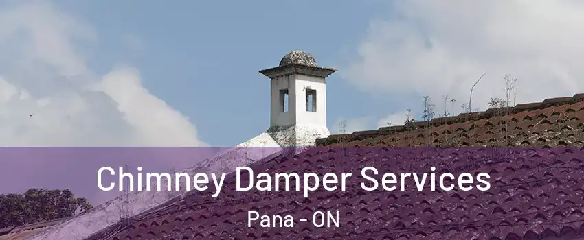  Chimney Damper Services Pana - ON