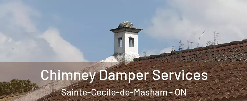  Chimney Damper Services Sainte-Cecile-de-Masham - ON