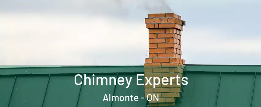  Chimney Experts Almonte - ON