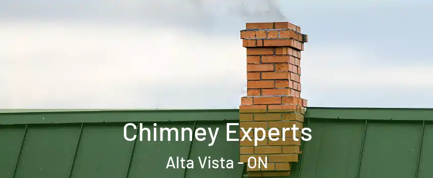  Chimney Experts Alta Vista - ON