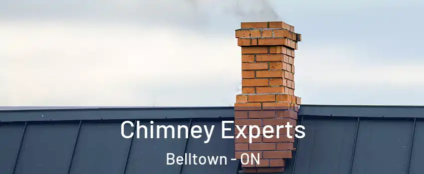  Chimney Experts Belltown - ON