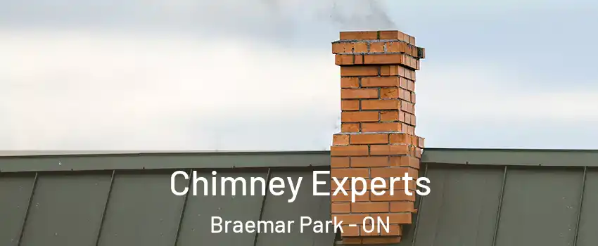  Chimney Experts Braemar Park - ON